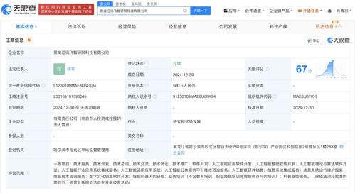科大讯飞在黑龙江成立智研院科技公司，布局AI基础软件开发新蓝图