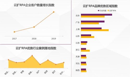 2025年中国RPA市场深度报告 竞争格局与发展趋势解析